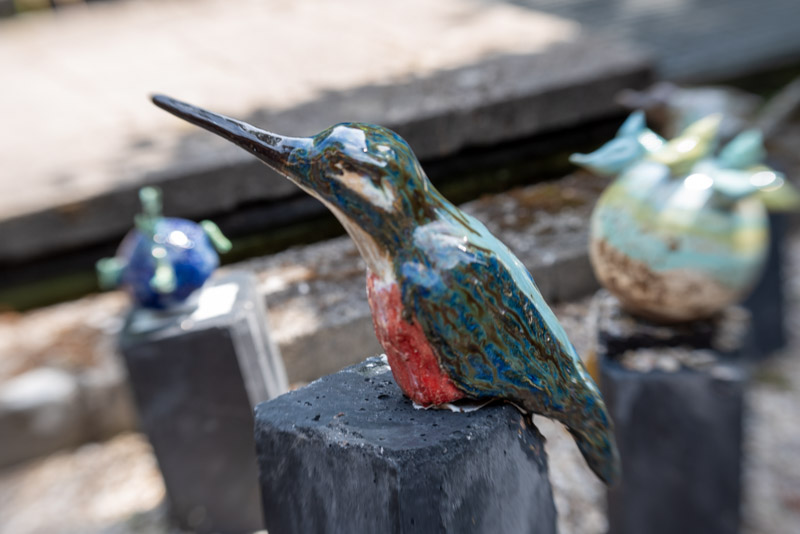 IJsvogel
