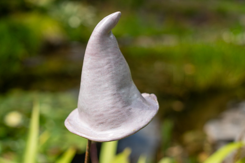 Heksenhoedje 